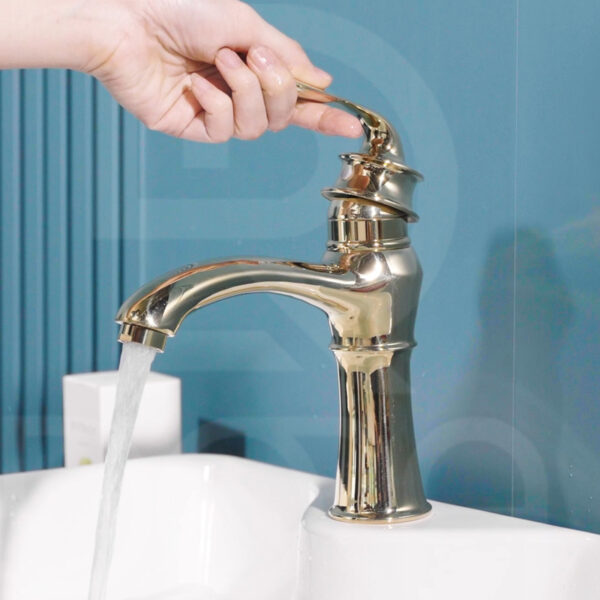 Vòi labo inox 304 xi chân không màu vàng