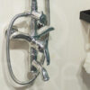 Sen cây đại bàng inox bóng