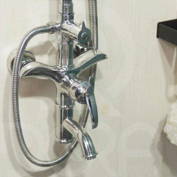 Sen cây đại bàng inox bóng