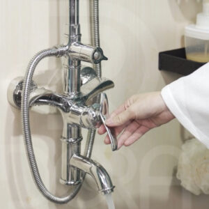 Sen cây cổ điển inox 304 - DR06 bóng