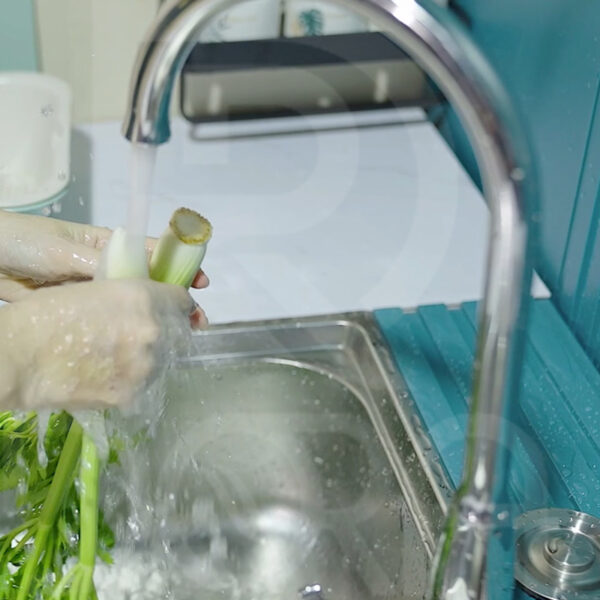 Vòi gắn chậu rửa chén DORA