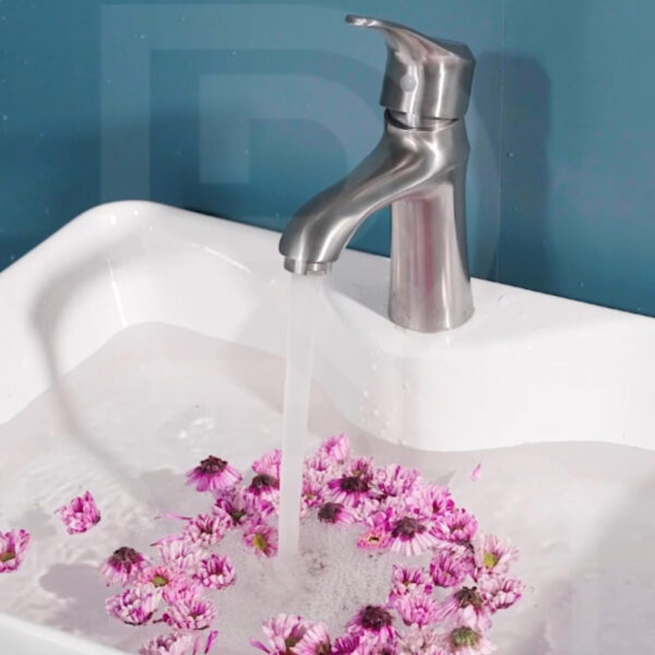 Vòi lavabo tròn inox 304 - DR315 mờ